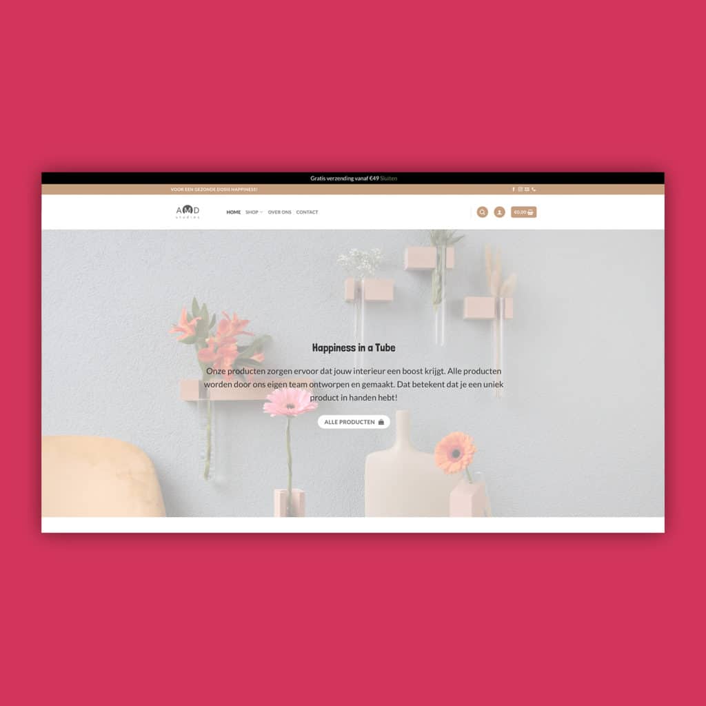 AMDstudio's website